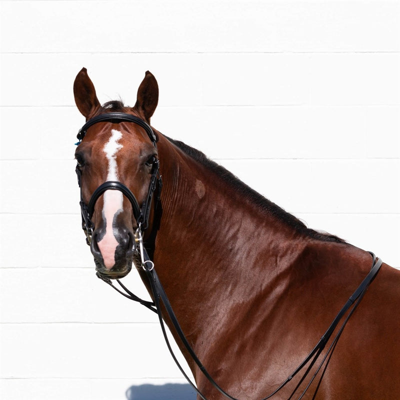 Equinavia Saga Double Bridle with Reins