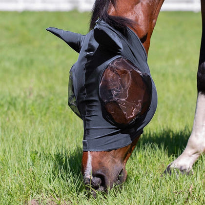 Equinavia Bug Out Fly Mask