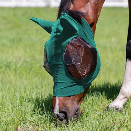 Equinavia Bug Out Fly Mask