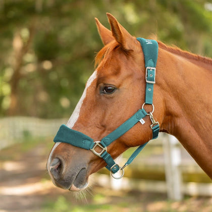 Equinavia Saga Fleece Padded Breakaway Halter