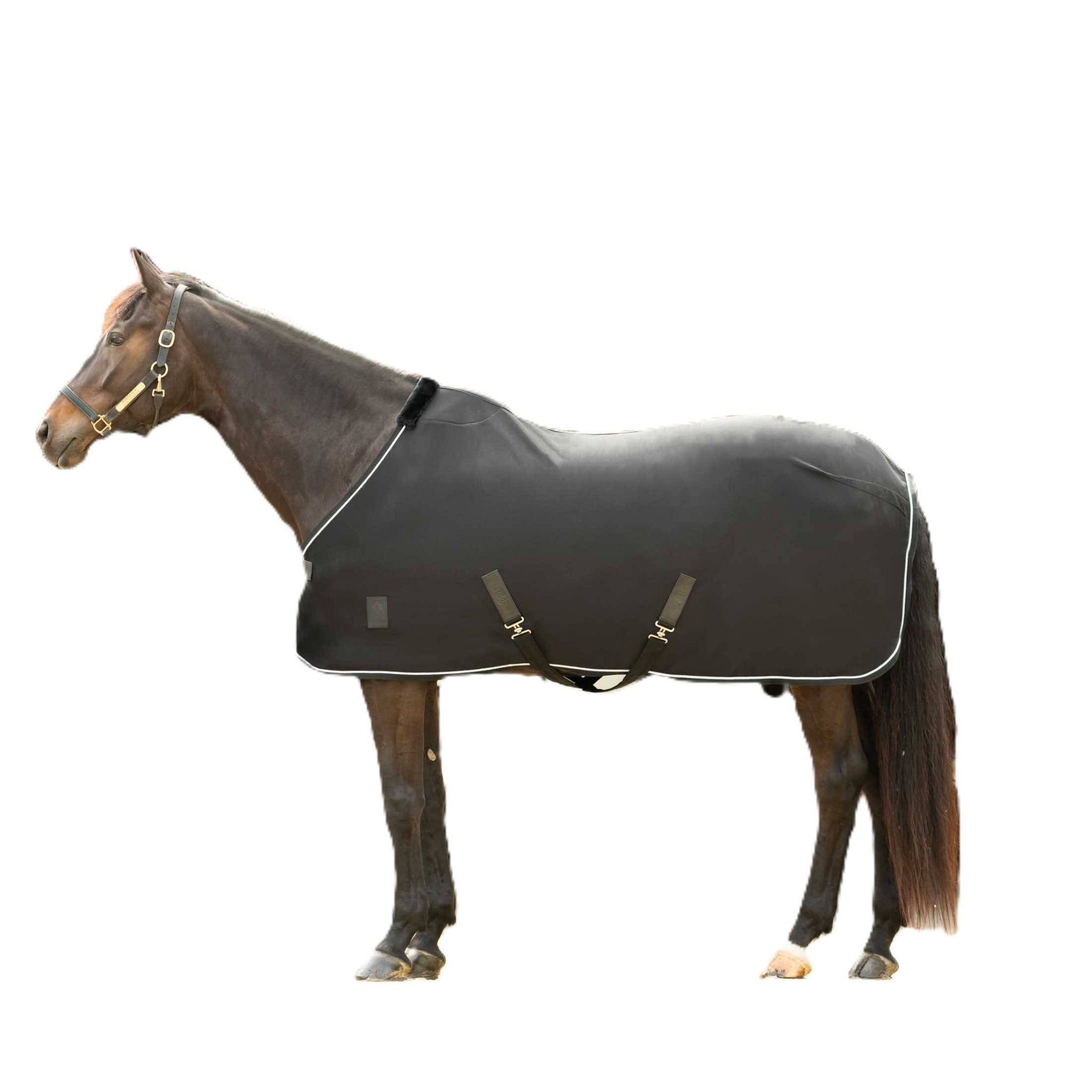 Equinavia Torr Quick Dry Cooler