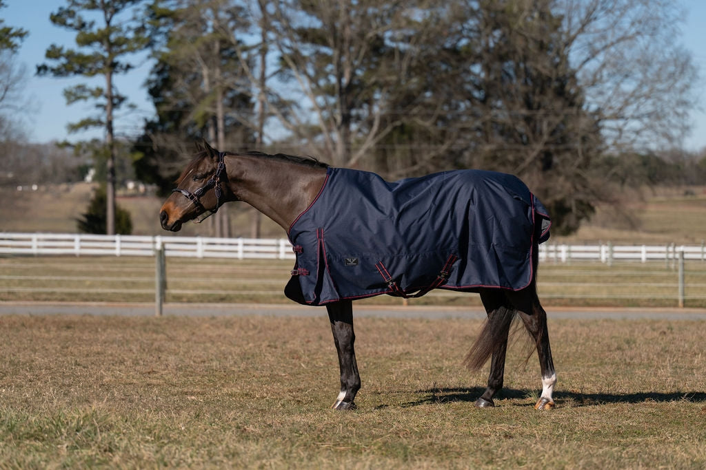 TuffRider Ripstop Standard Neck LightWeight Turnout Blanket with 100 GSM Fill
