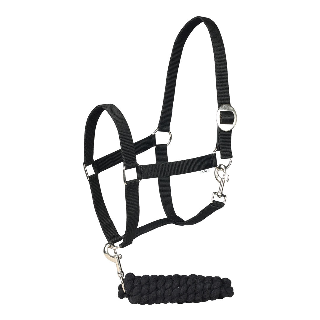 TuffRider Halter And Lead Rope Set with Breakaway Leather