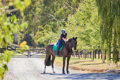 Weatherbeeta Prime Air-Tec All Purpose Saddle Pad