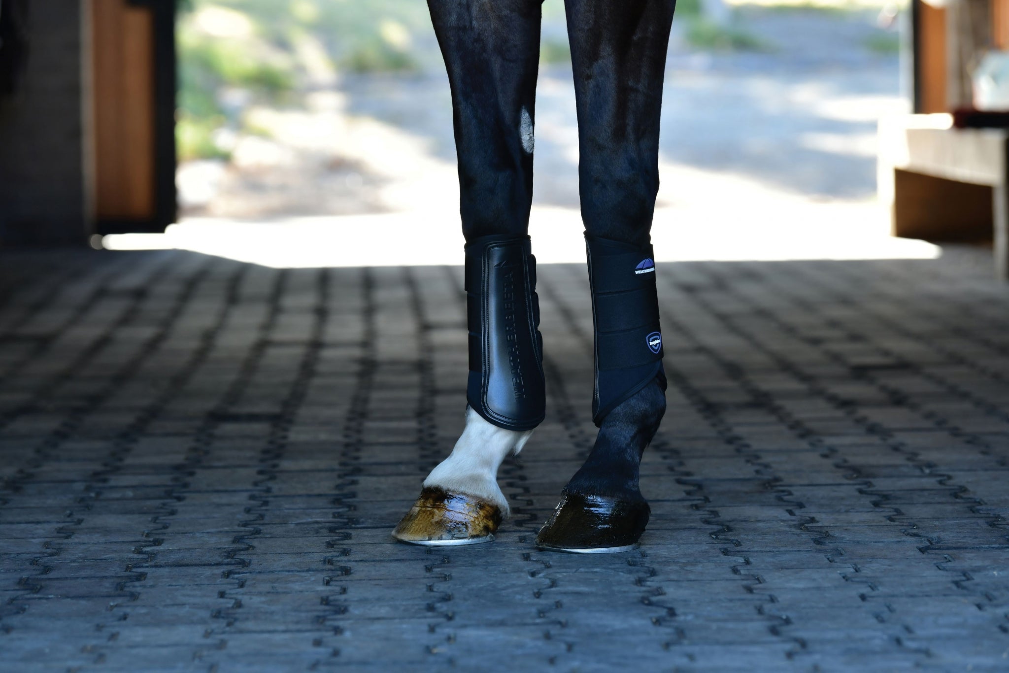 Weatherbeeta Tough-Tec Prime Brushing Boots