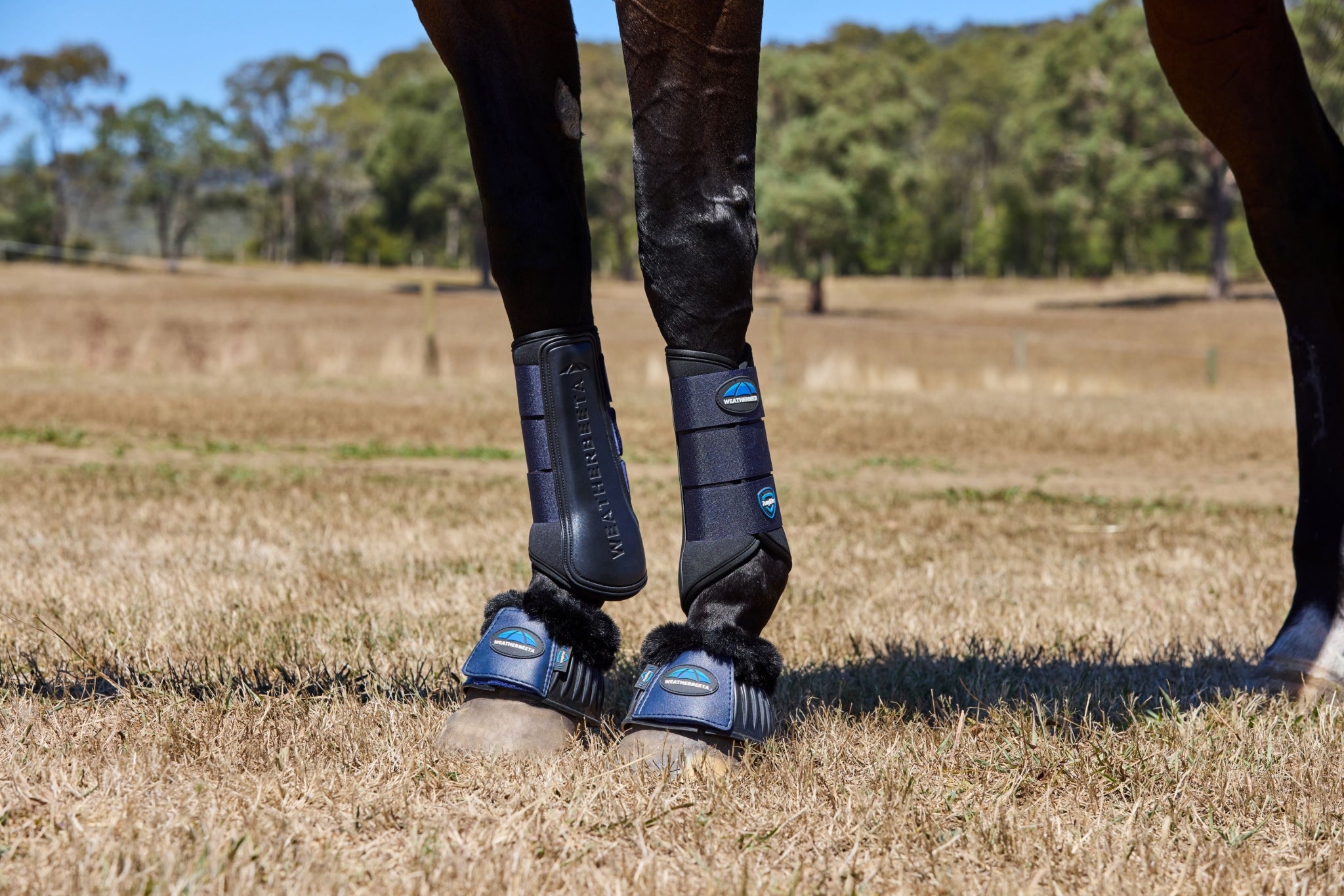 Weatherbeeta Tough-Tec Prime Brushing Boots