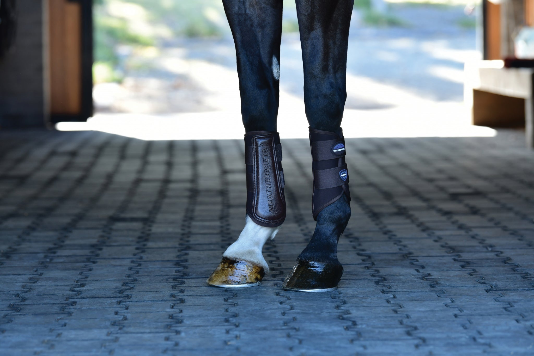 Weatherbeeta Tough-Tec Prime Brushing Boots