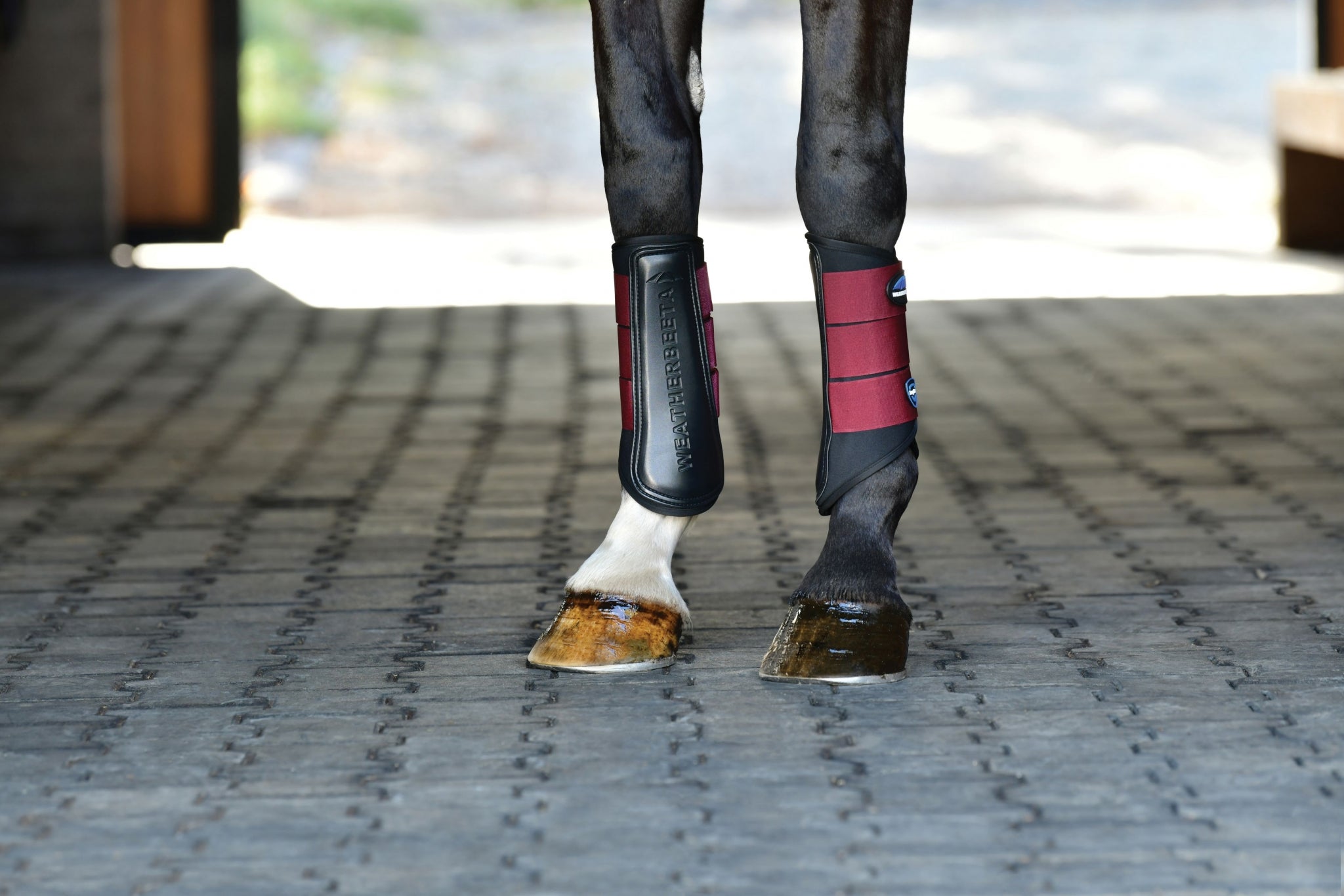 Weatherbeeta Tough-Tec Prime Brushing Boots