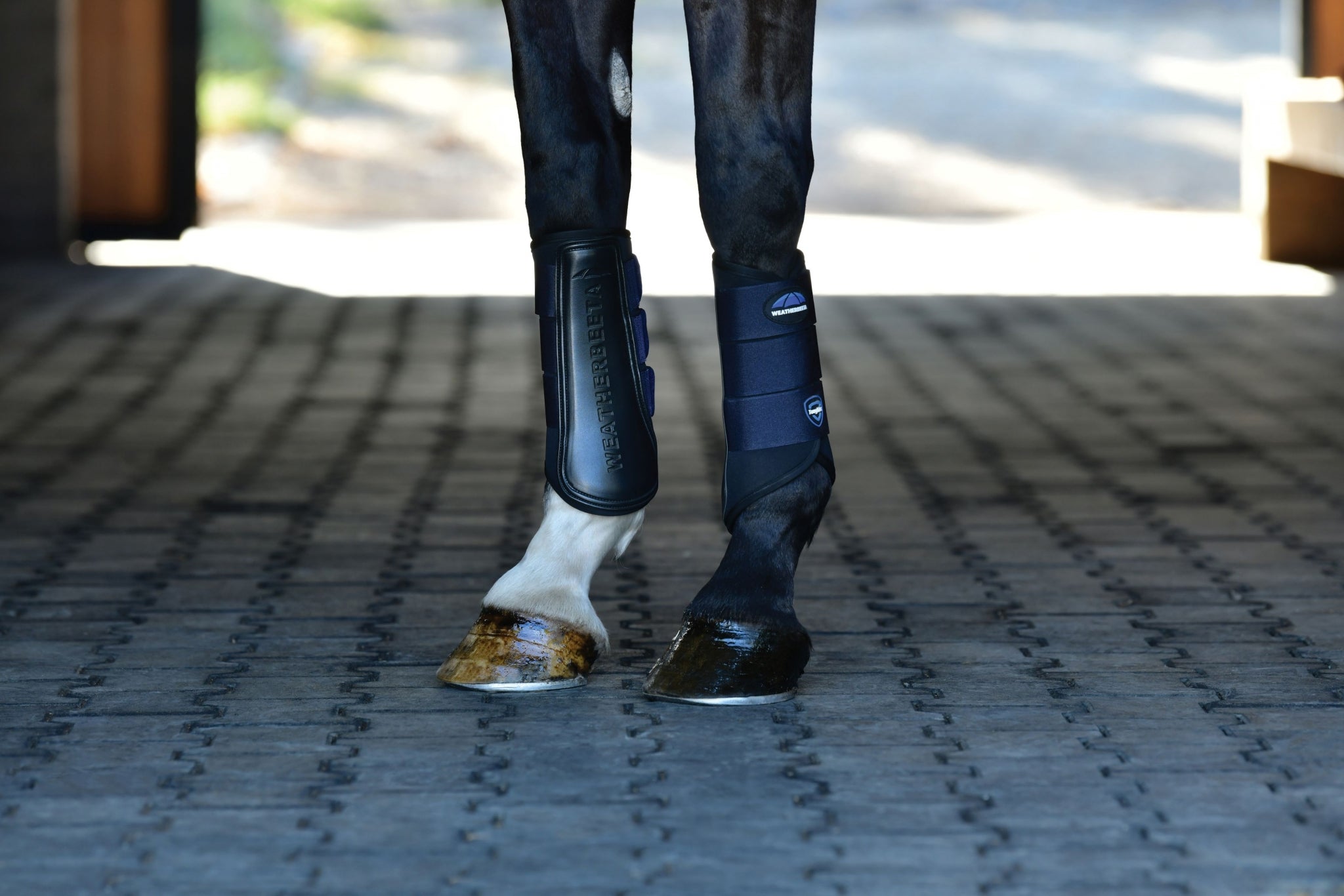Weatherbeeta Tough-Tec Prime Brushing Boots