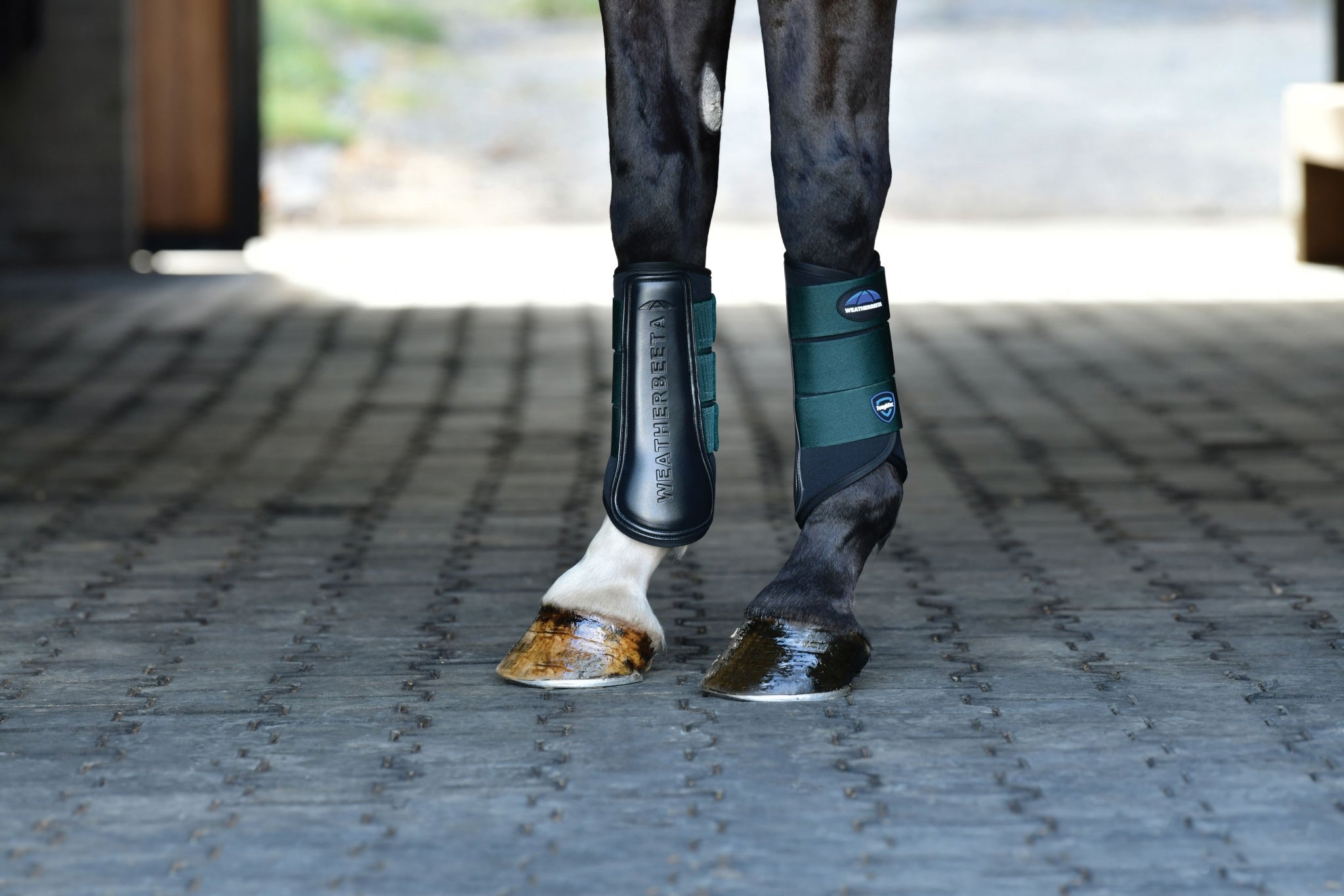 Weatherbeeta Tough-Tec Prime Brushing Boots