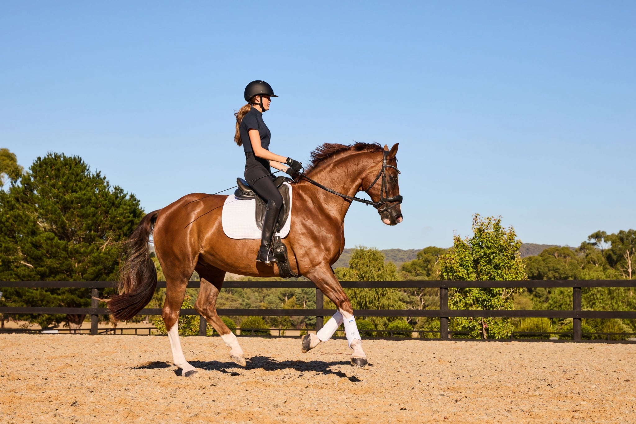 Weatherbeeta Tough-Tec Prime Brushing Boots