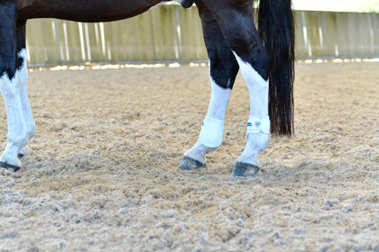 Weatherbeeta Tough-Tec Prime Fetlock Boots