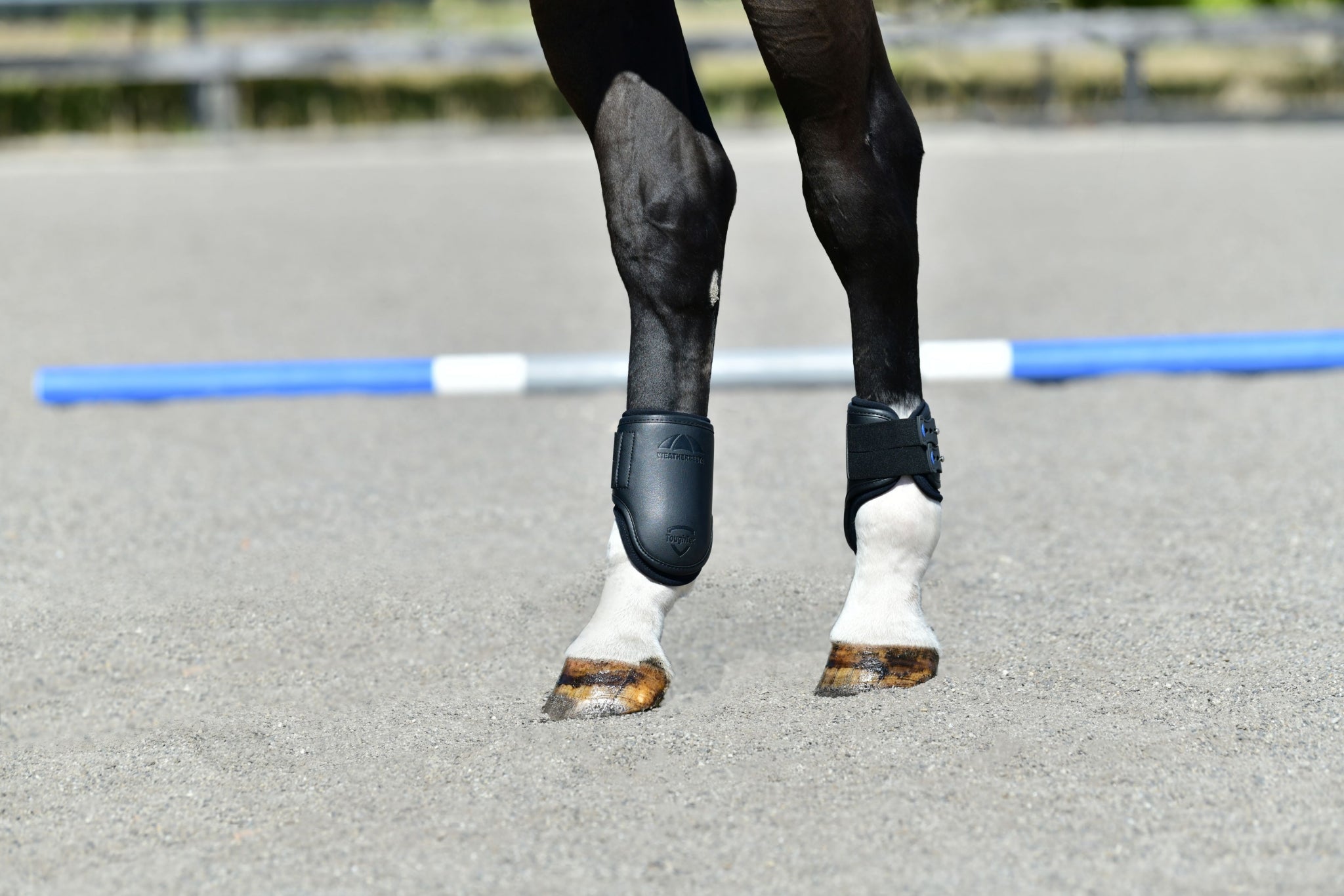 Weatherbeeta Tough-Tec Pro Hind Boots
