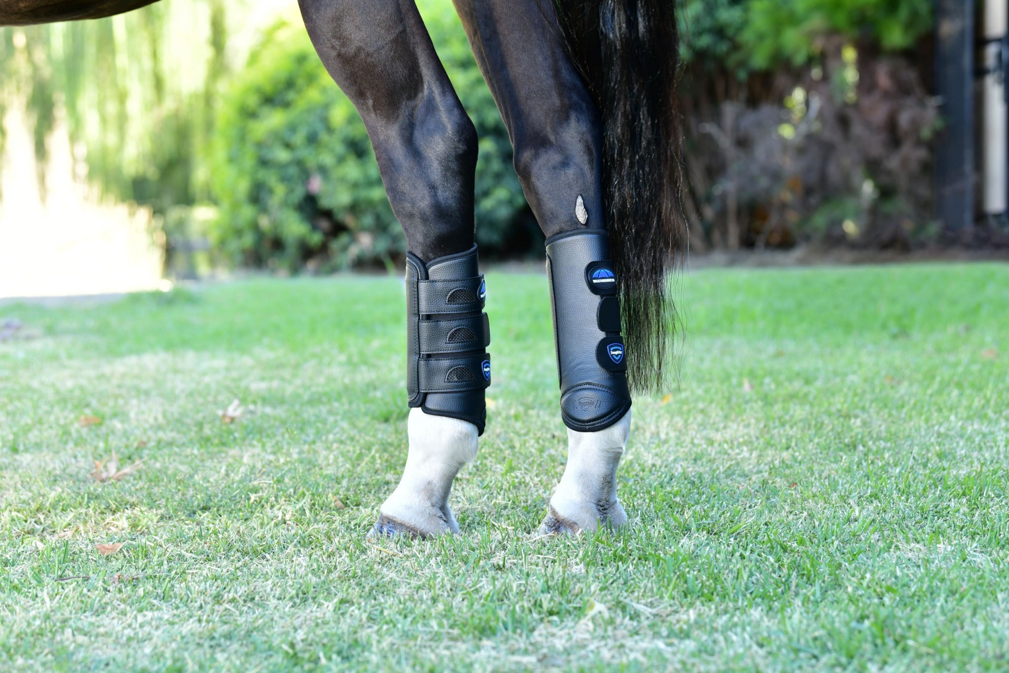 Weatherbeeta Tough-Tec Eventing Hind Boots