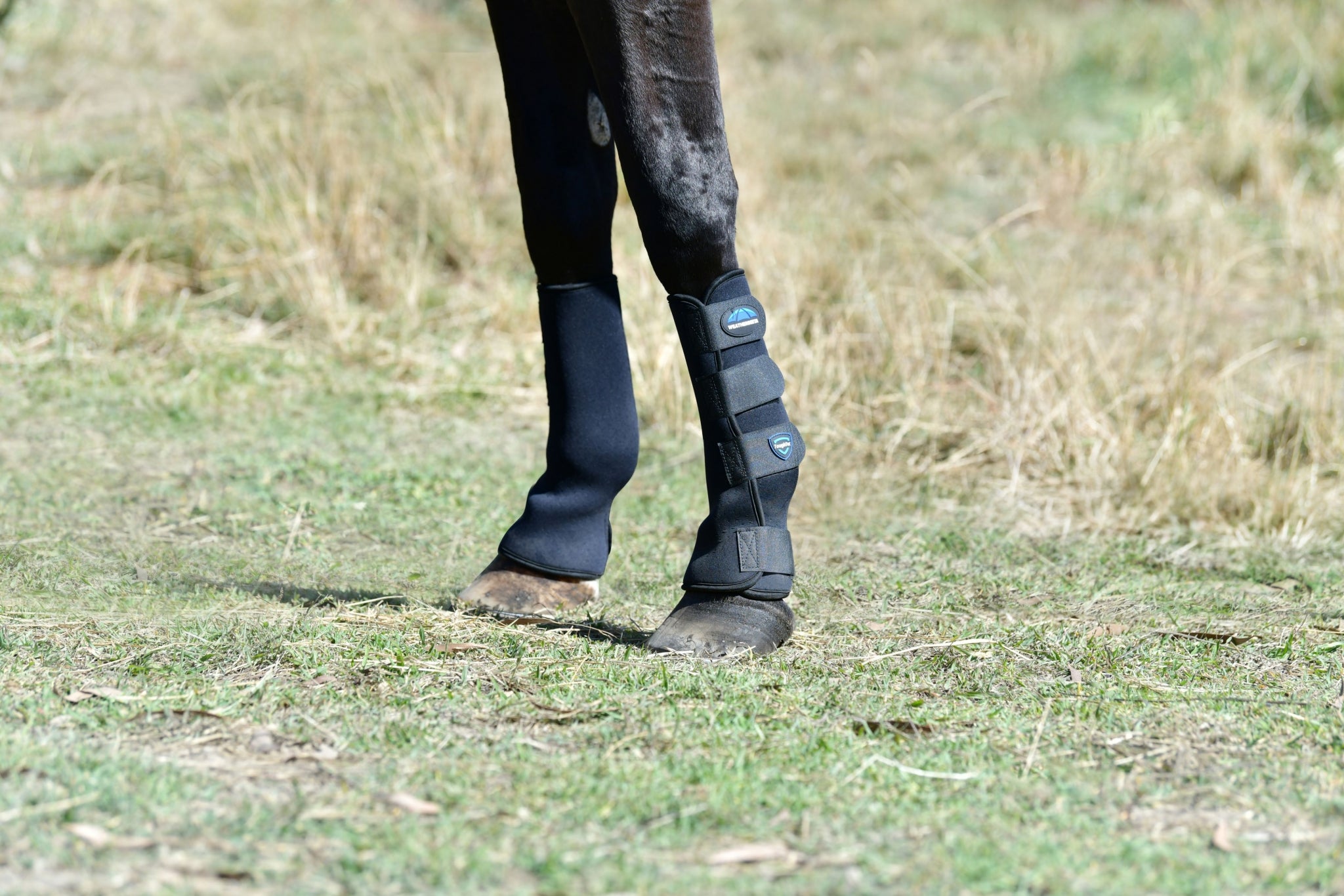 Weatherbeeta Tough-Tec Turnout Boots