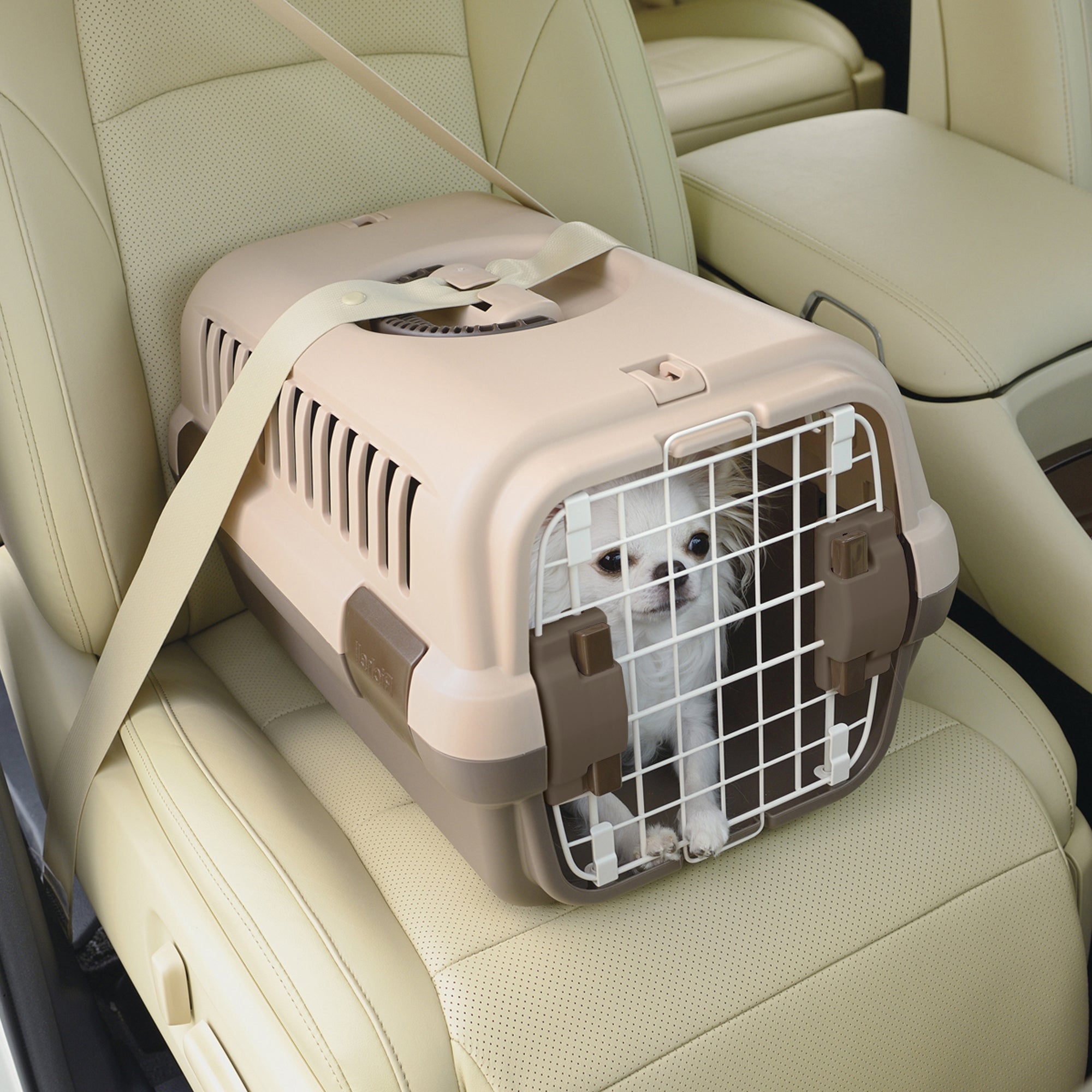 Richell Pet Travel Carrier