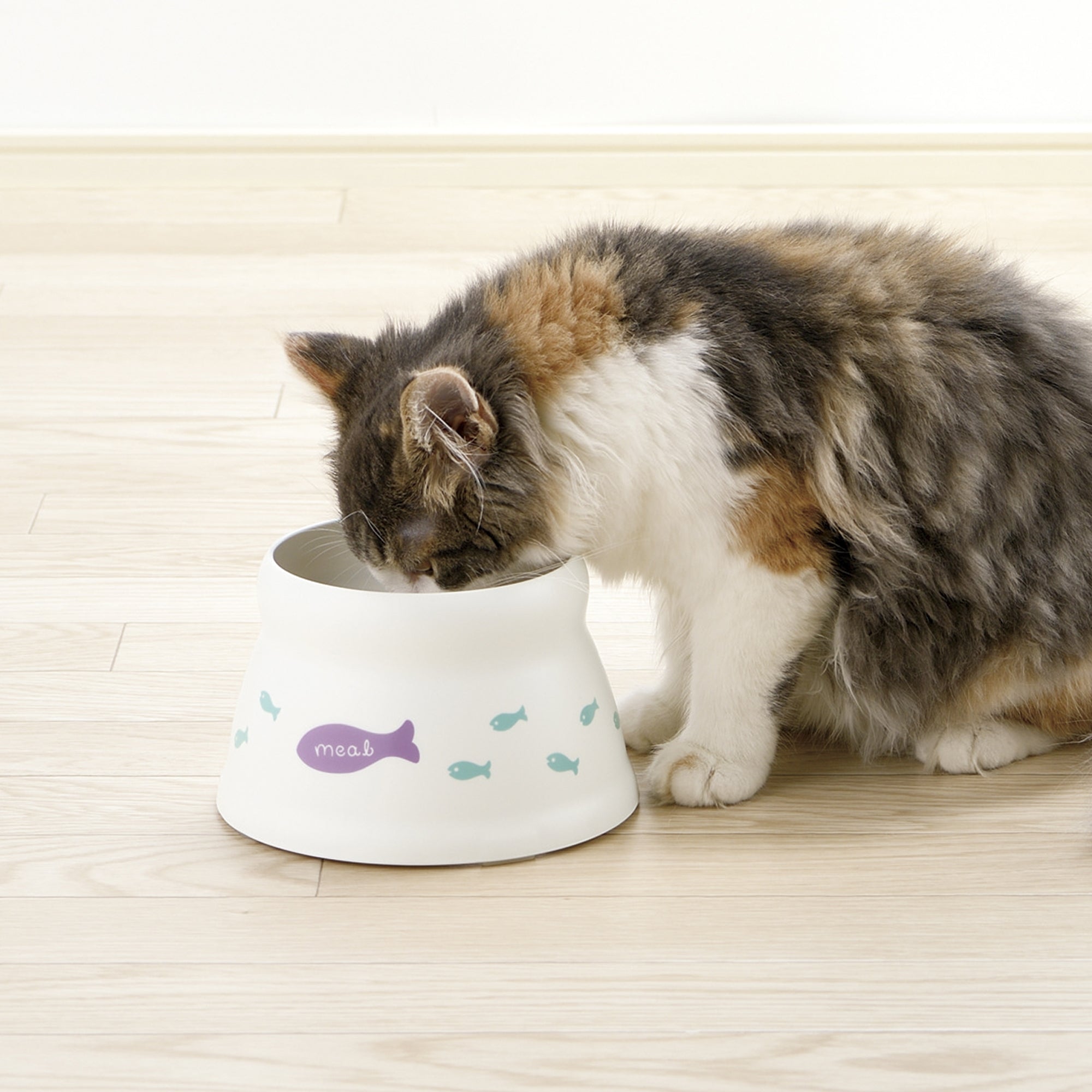 Richell Raised Cat Bowl