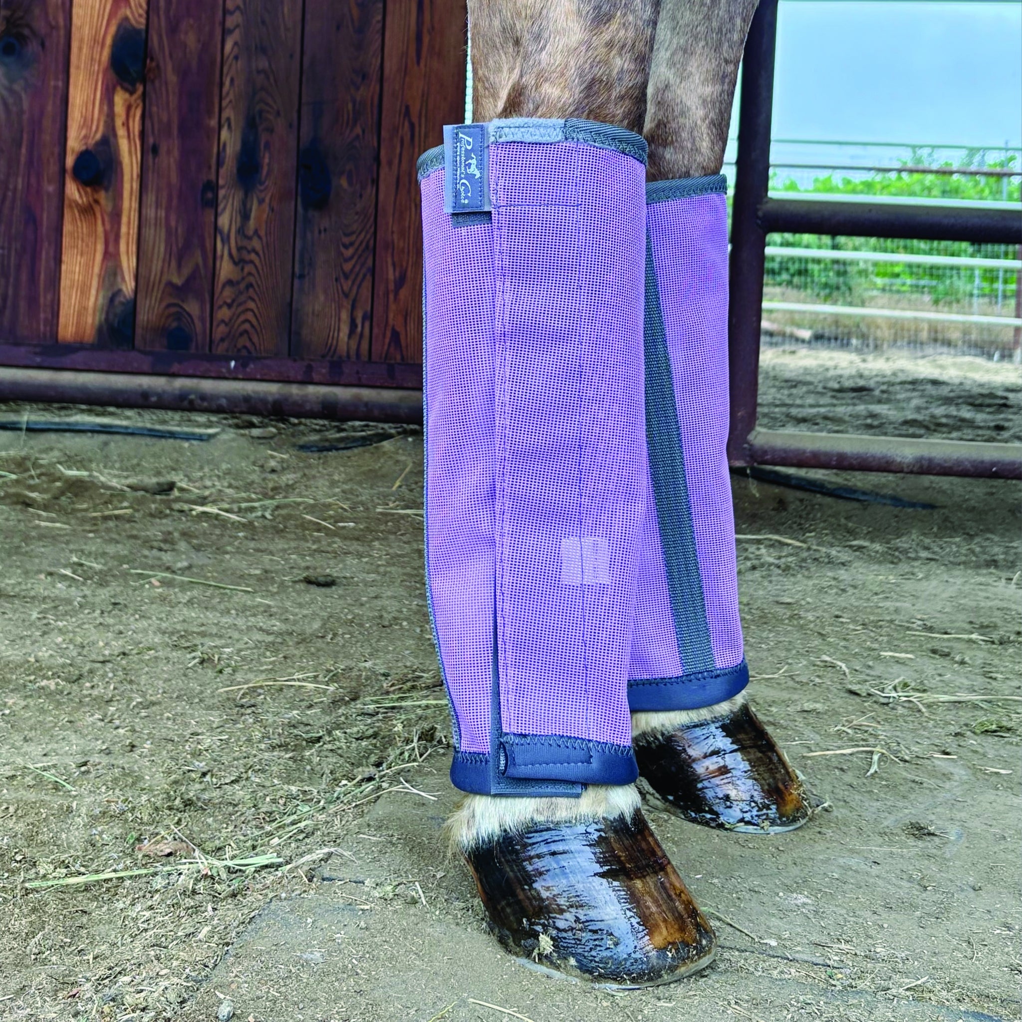 Professionals Choice Deluxe Fly Boots - 4 Pack