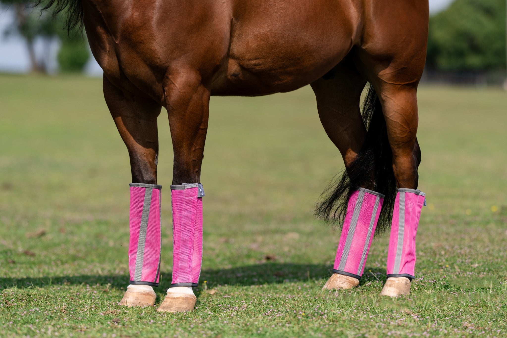 Professionals Choice Deluxe Fly Boots - 4 Pack