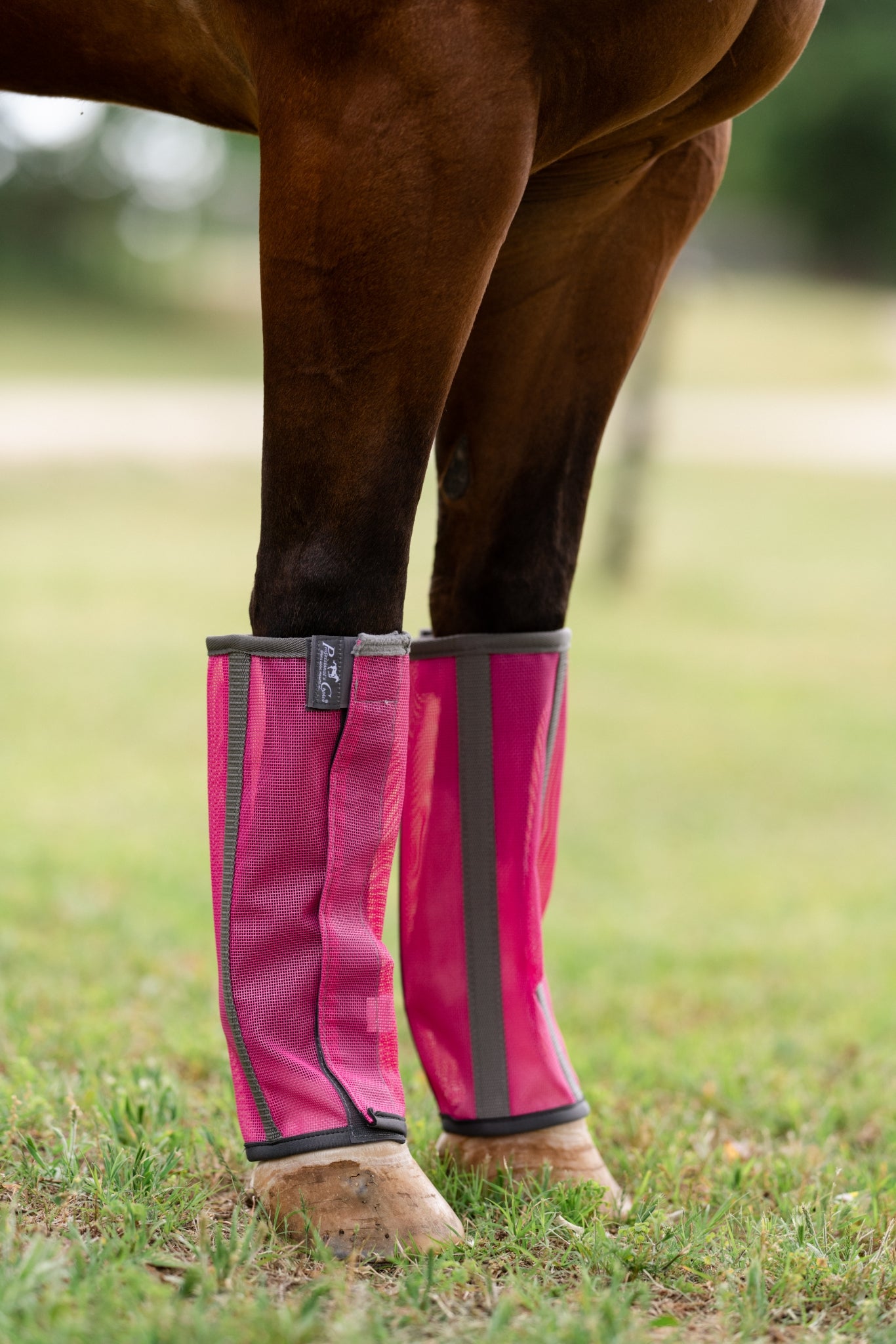 Professionals Choice Deluxe Fly Boots - 4 Pack