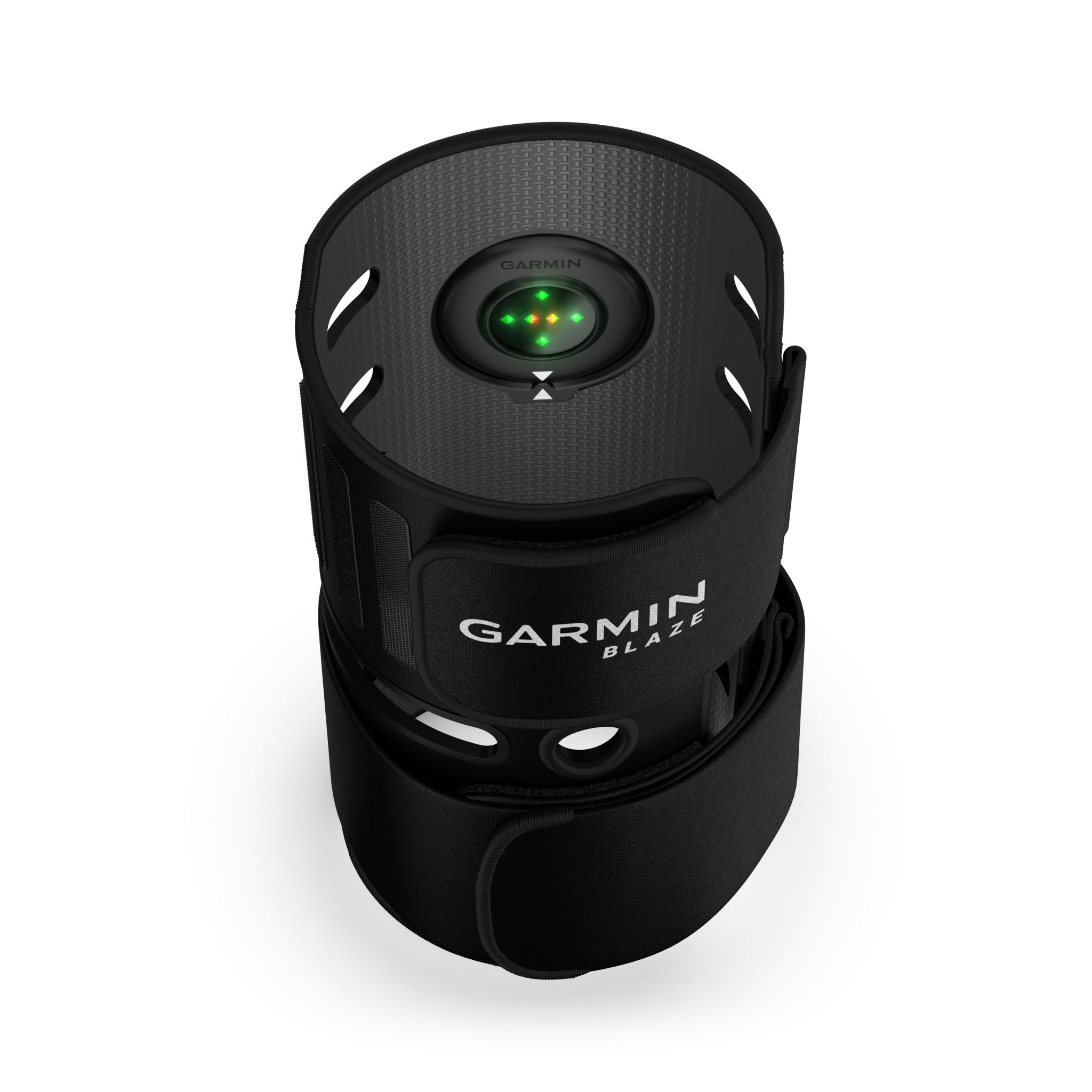 Garmin Blaze Equine Wellness System