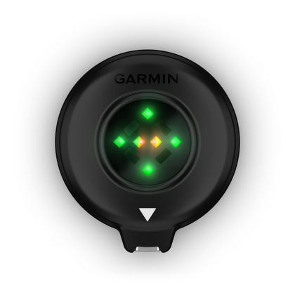 Garmin Blaze Equine Wellness System