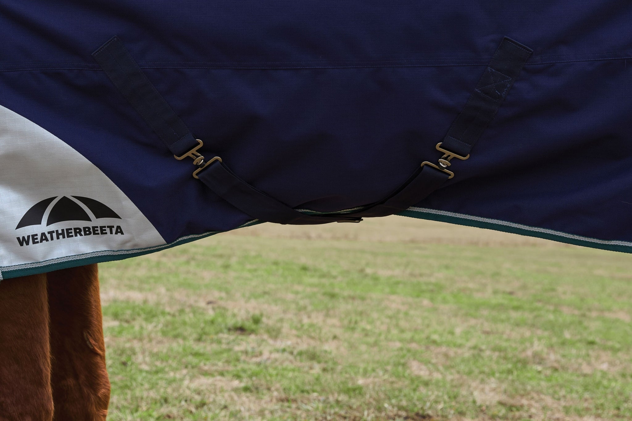 Weatherbeeta ComFiTec Plus Dynamic Turnout Detach-A-Neck 100g