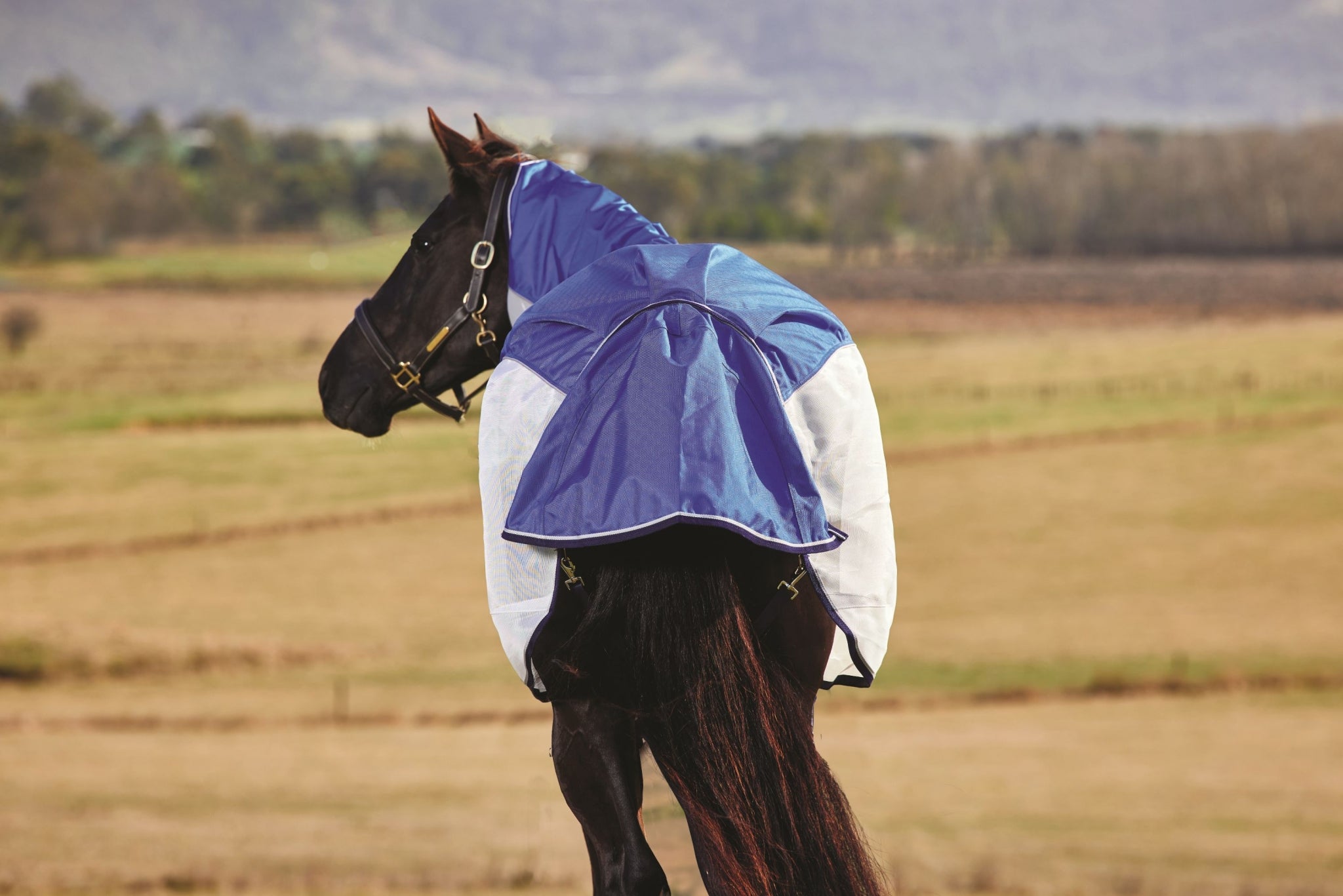 Weatherbeeta ComFiTec Duo Shield Detach-A-Neck