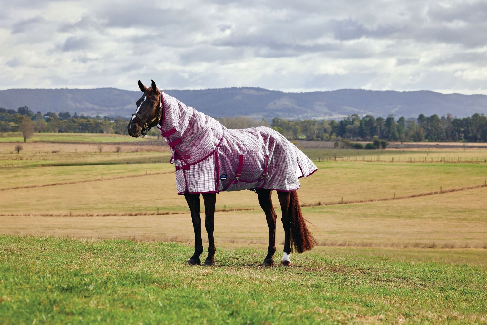 Weatherbeeta ComFiTec Ripshield Fly Sheet Detach-A-Neck