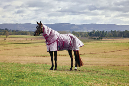 Weatherbeeta ComFiTec Ripshield Fly Sheet Detach-A-Neck
