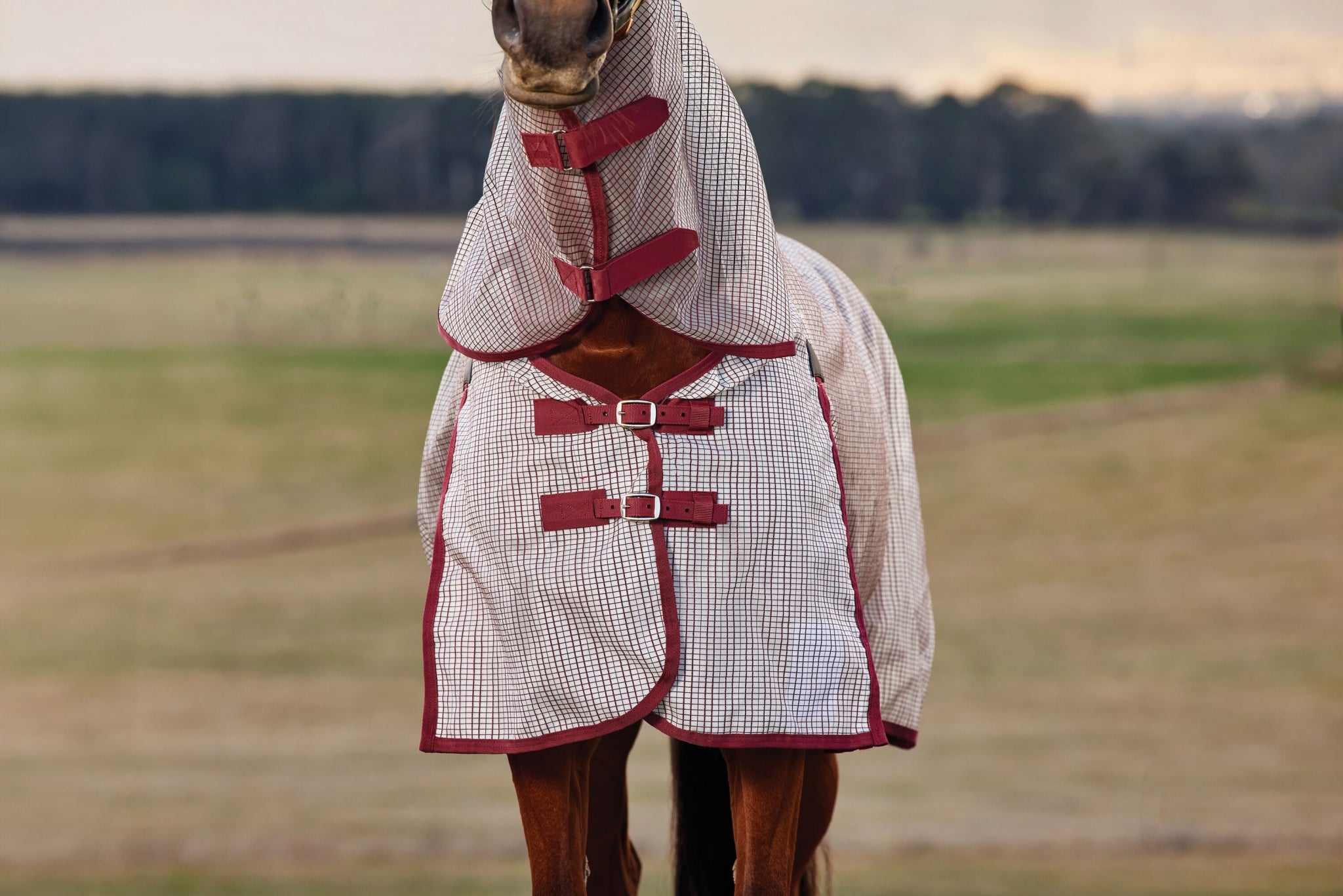 Weatherbeeta ComFiTec Ripshield Fly Sheet Detach-A-Neck