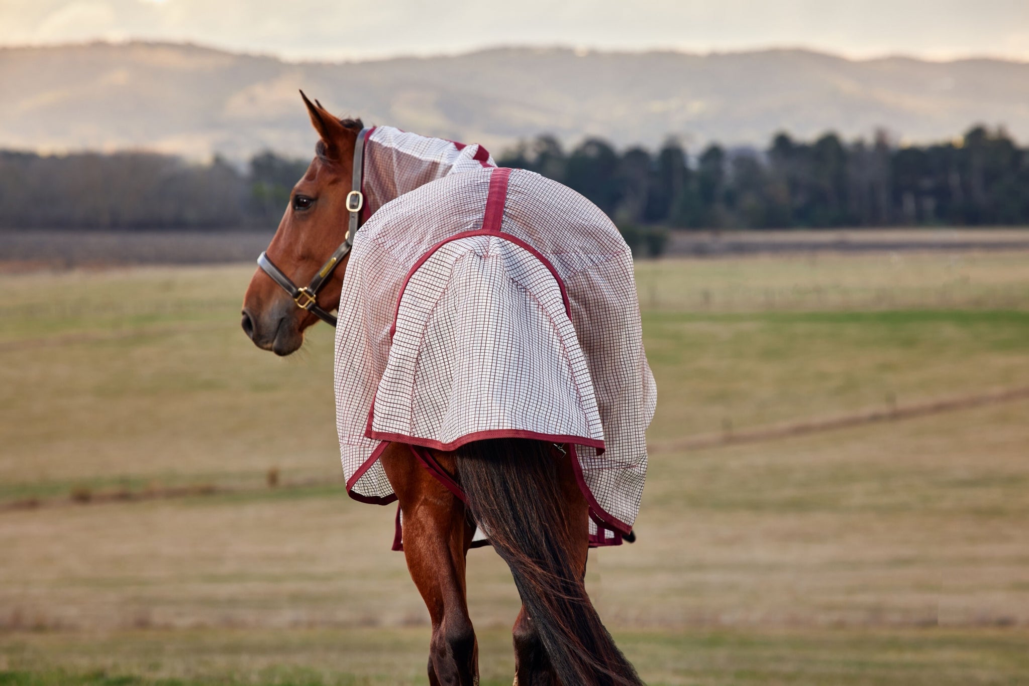 Weatherbeeta ComFiTec Ripshield Fly Sheet Detach-A-Neck