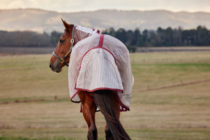 Weatherbeeta ComFiTec Ripshield Fly Sheet Detach-A-Neck