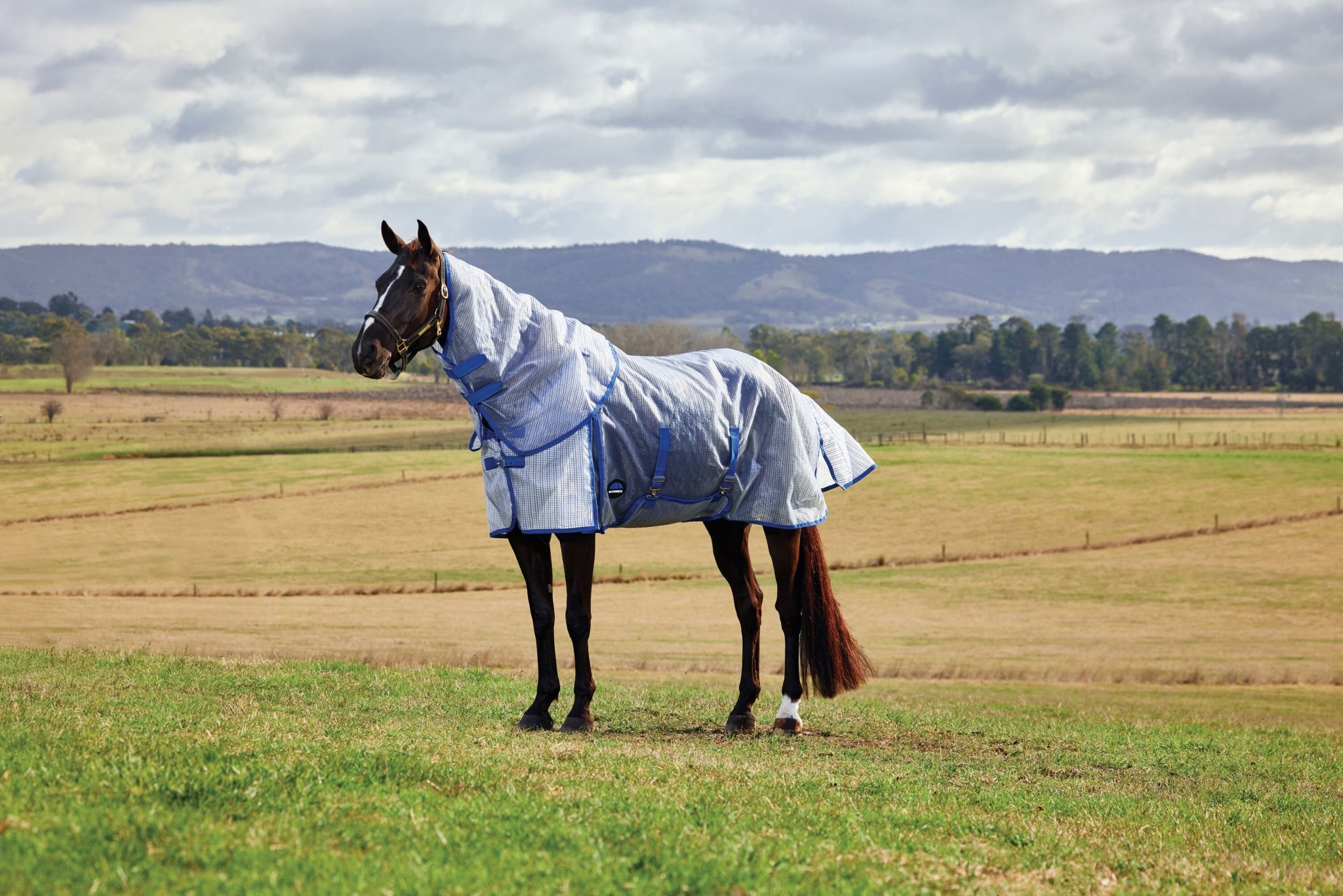 Weatherbeeta ComFiTec Ripshield Fly Sheet Detach-A-Neck
