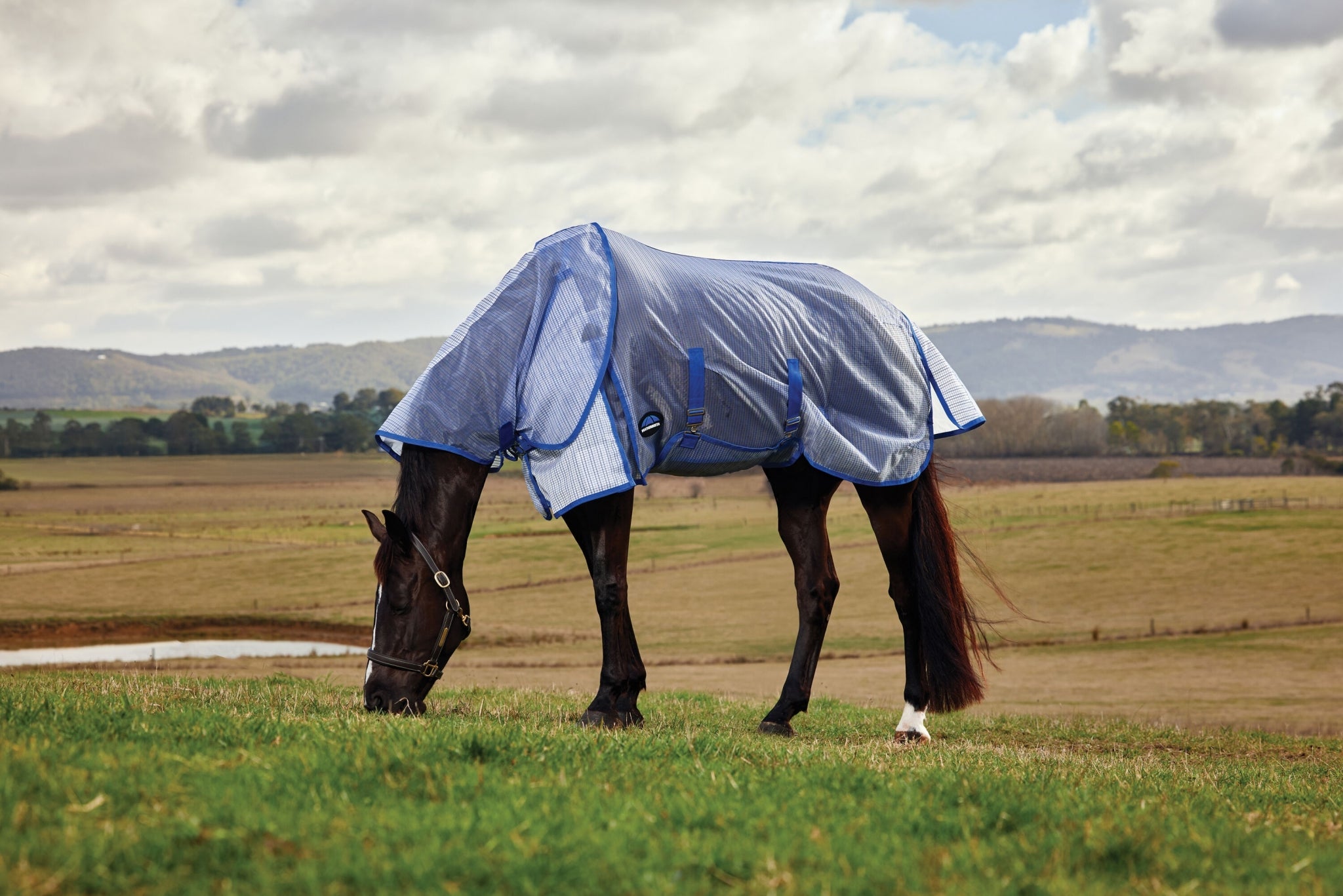 Weatherbeeta ComFiTec Ripshield Fly Sheet Detach-A-Neck