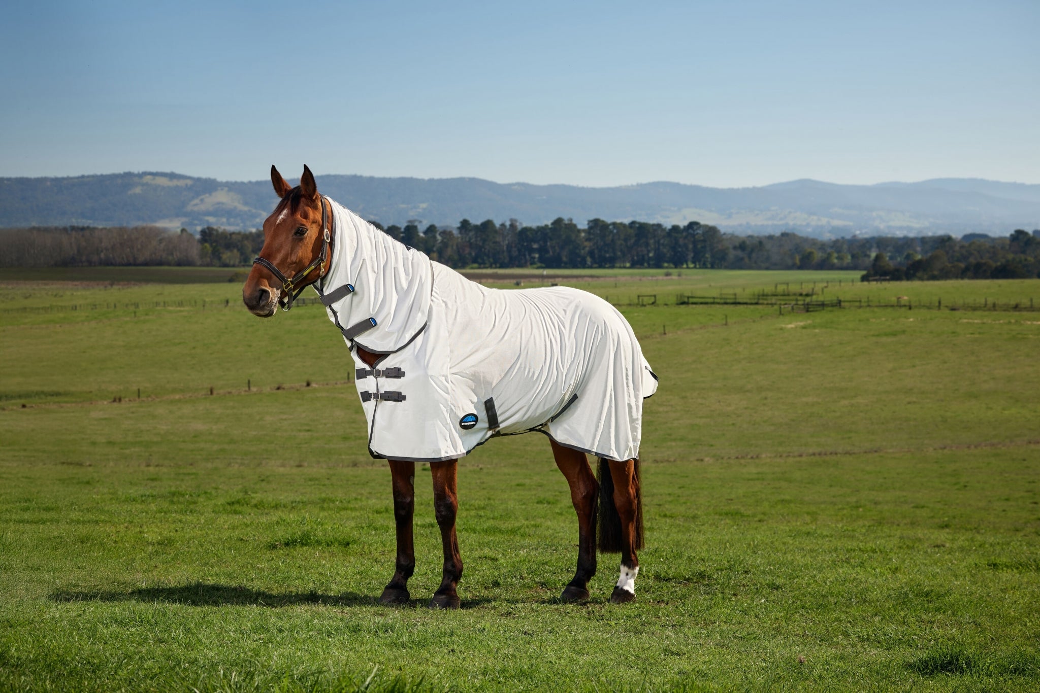 Weatherbeeta ComFiTec Tyro Fly Sheet Combo
