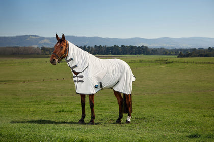 Weatherbeeta ComFiTec Tyro Fly Sheet Combo