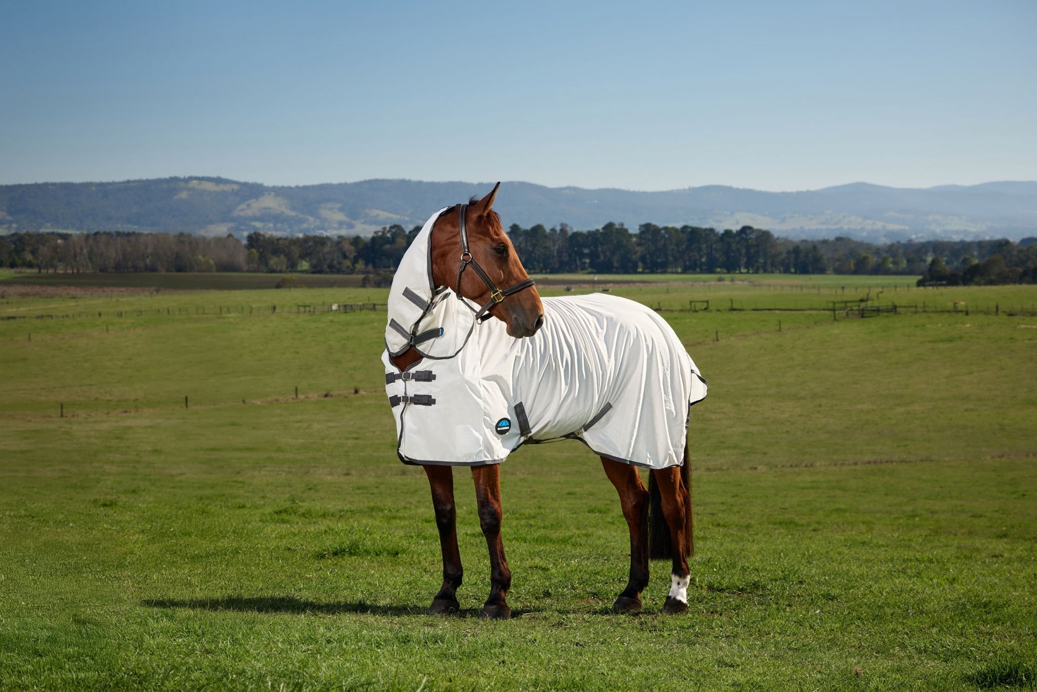 Weatherbeeta ComFiTec Tyro Fly Sheet Combo