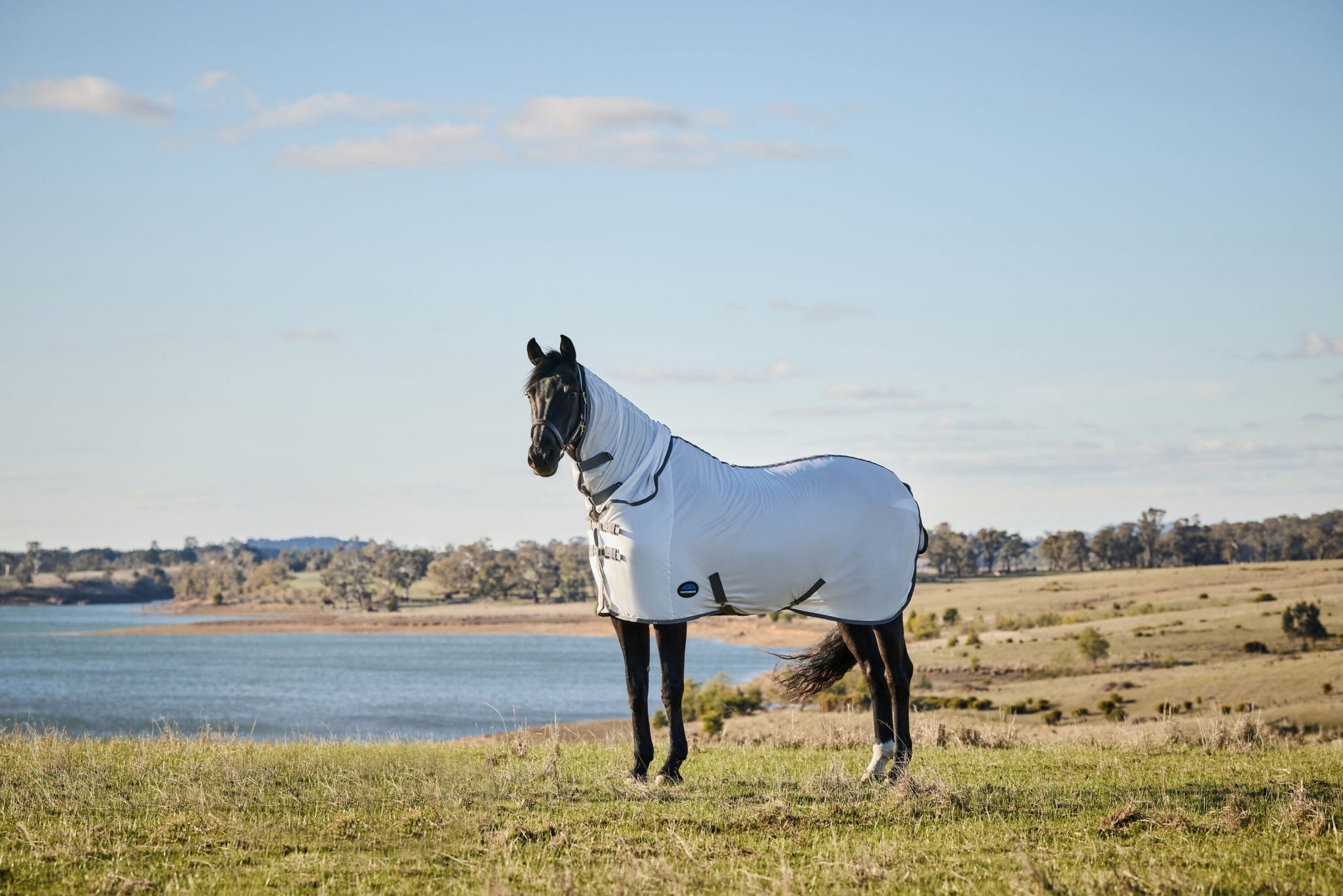 Weatherbeeta ComFiTec Tyro Fly Sheet Combo