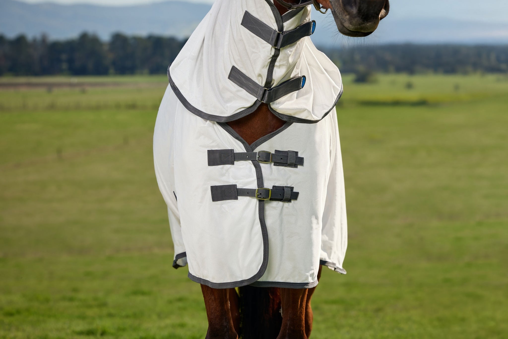 Weatherbeeta ComFiTec Tyro Fly Sheet Combo