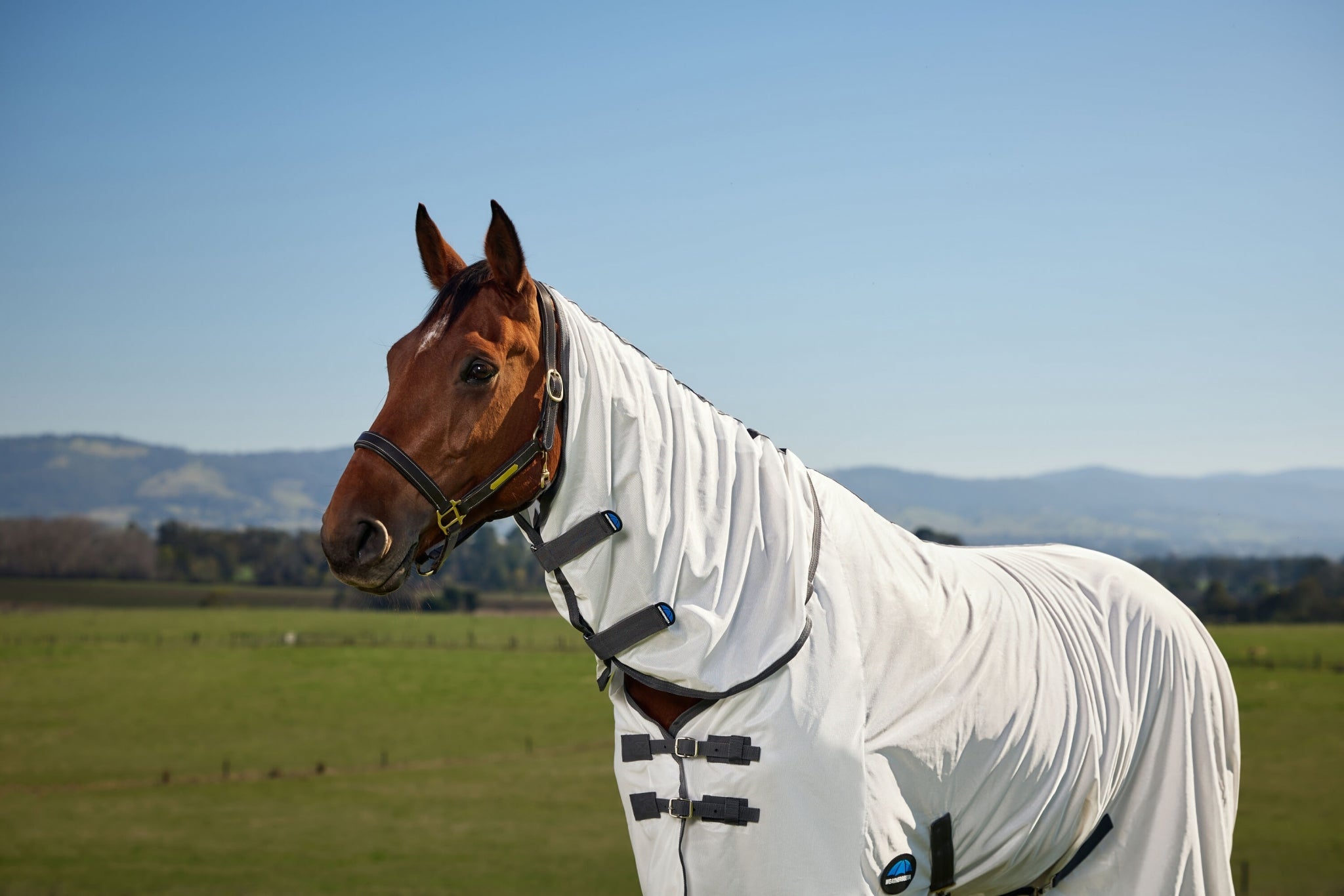 Weatherbeeta ComFiTec Tyro Fly Sheet Combo