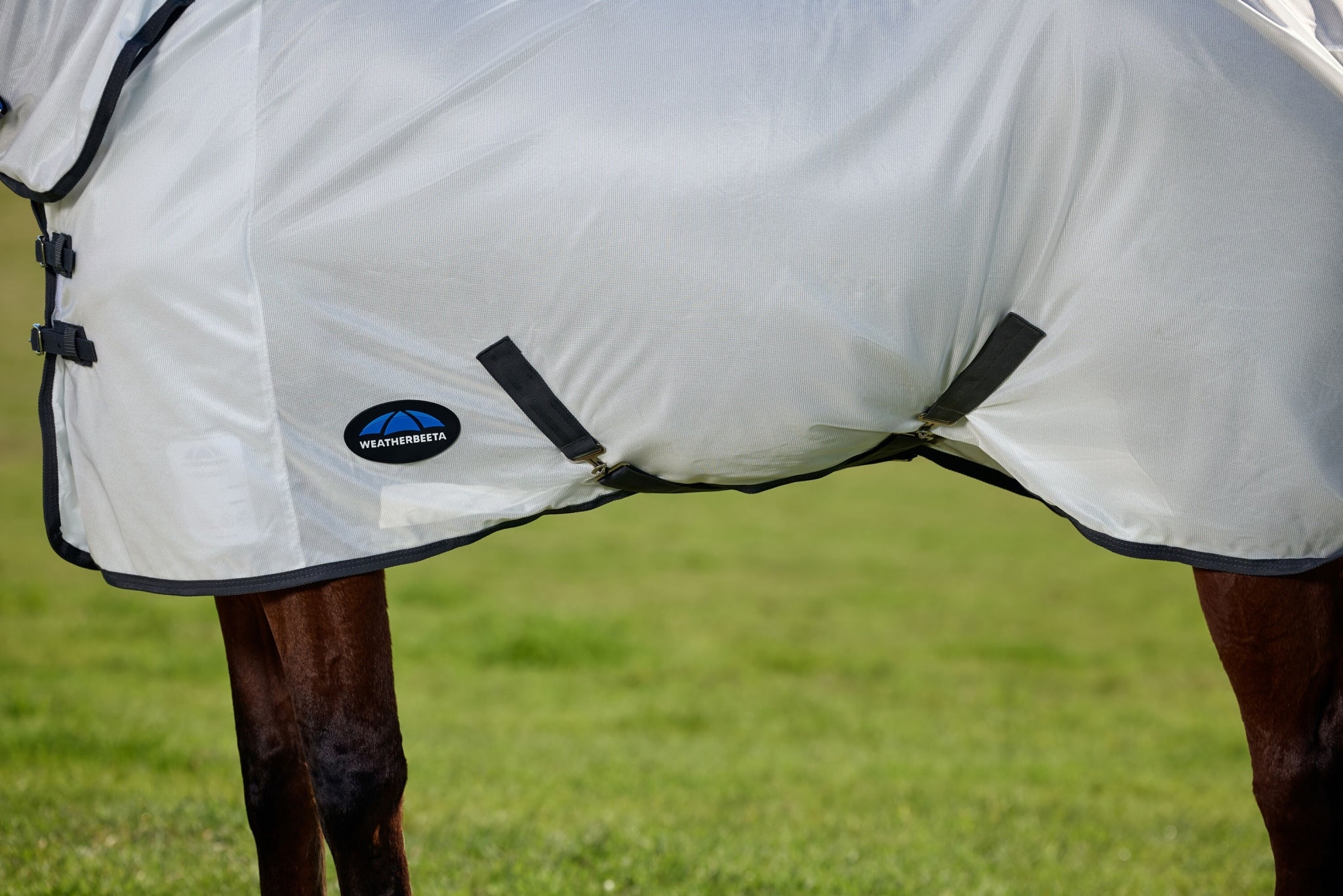Weatherbeeta ComFiTec Tyro Fly Sheet Combo
