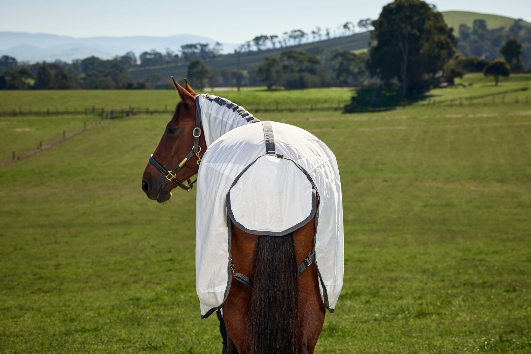 Weatherbeeta ComFiTec Tyro Fly Sheet Combo