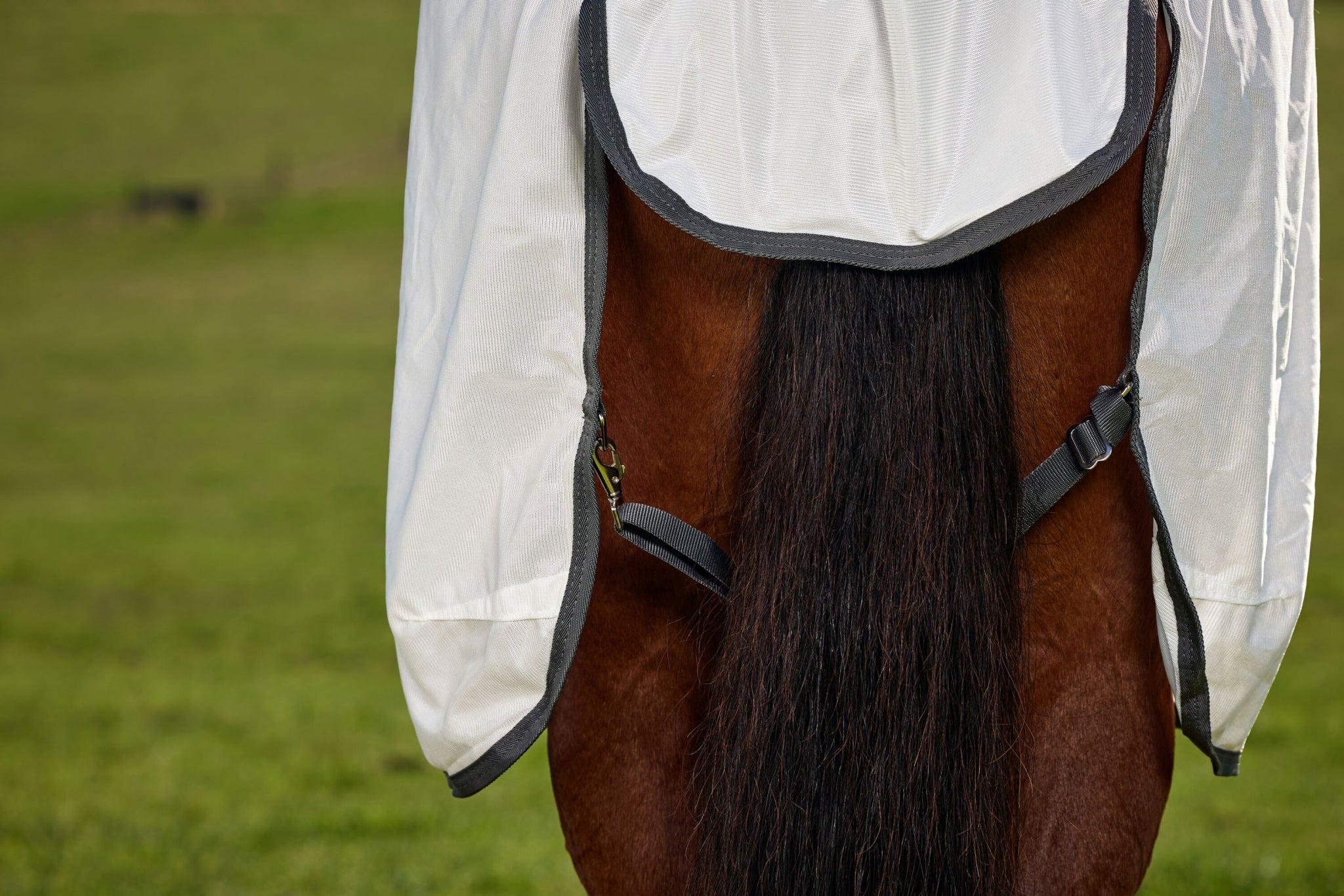 Weatherbeeta ComFiTec Tyro Fly Sheet Combo