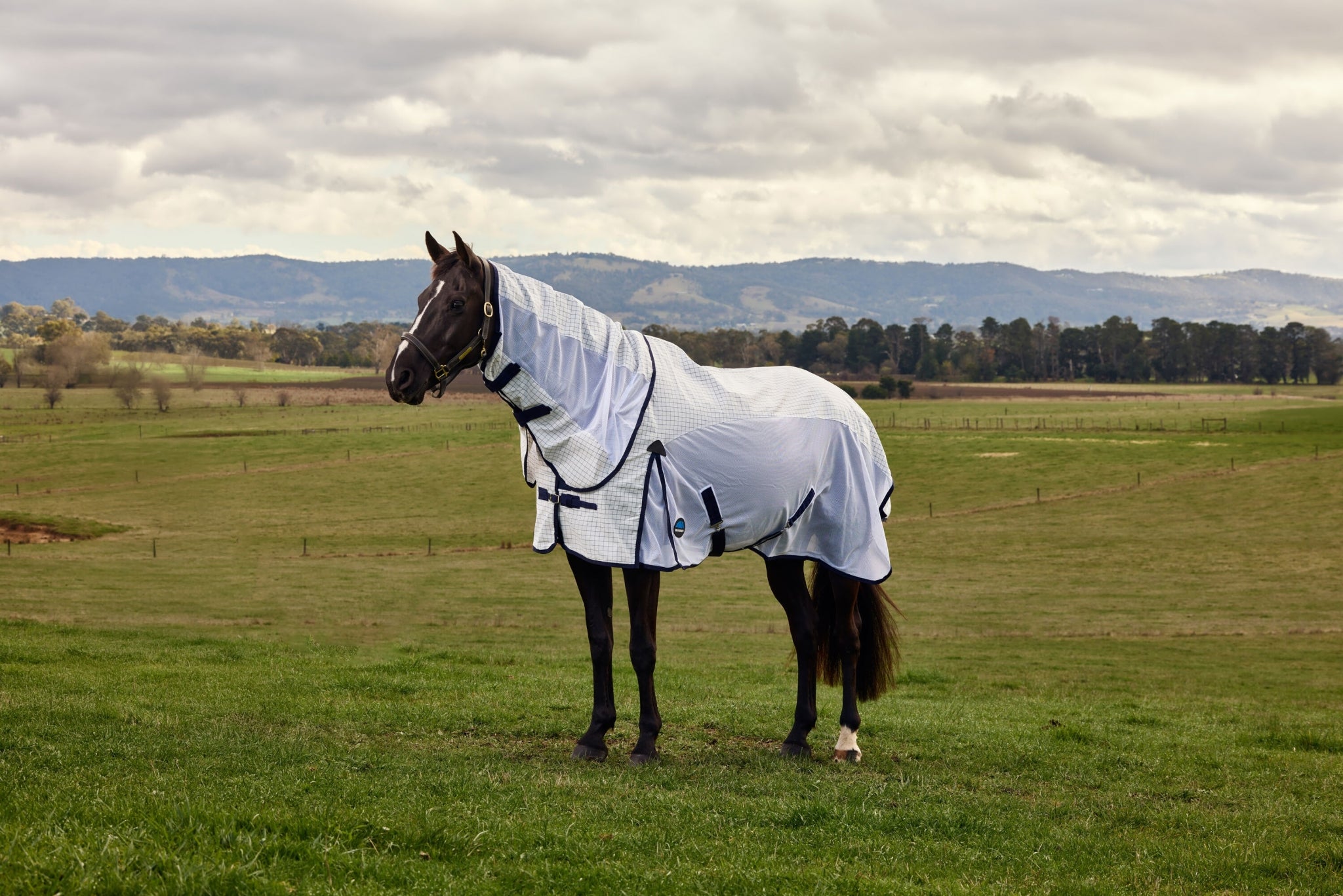 Weatherbeeta Airstream Detach-A-Neck Turnout Sheet