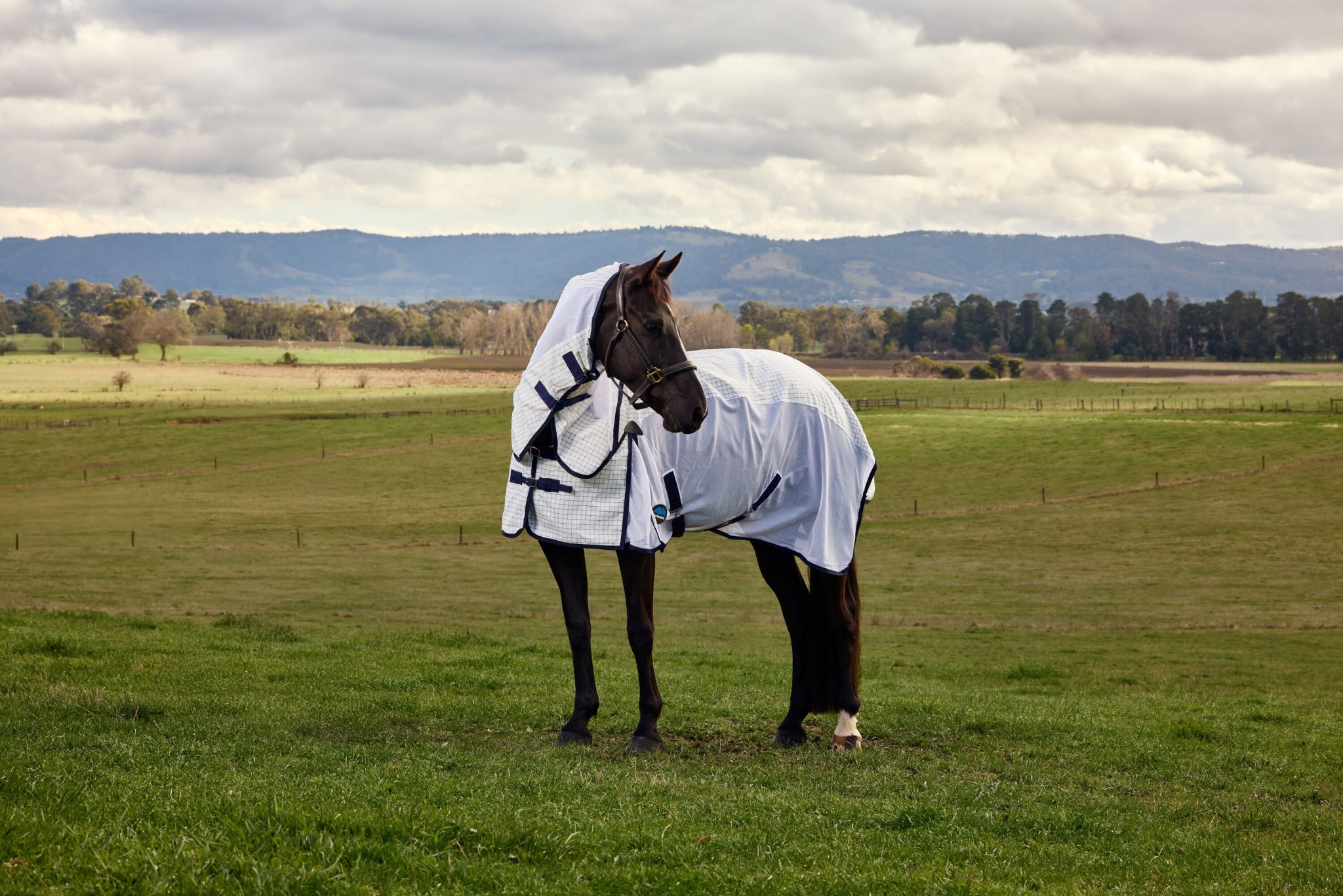 Weatherbeeta Airstream Detach-A-Neck Turnout Sheet