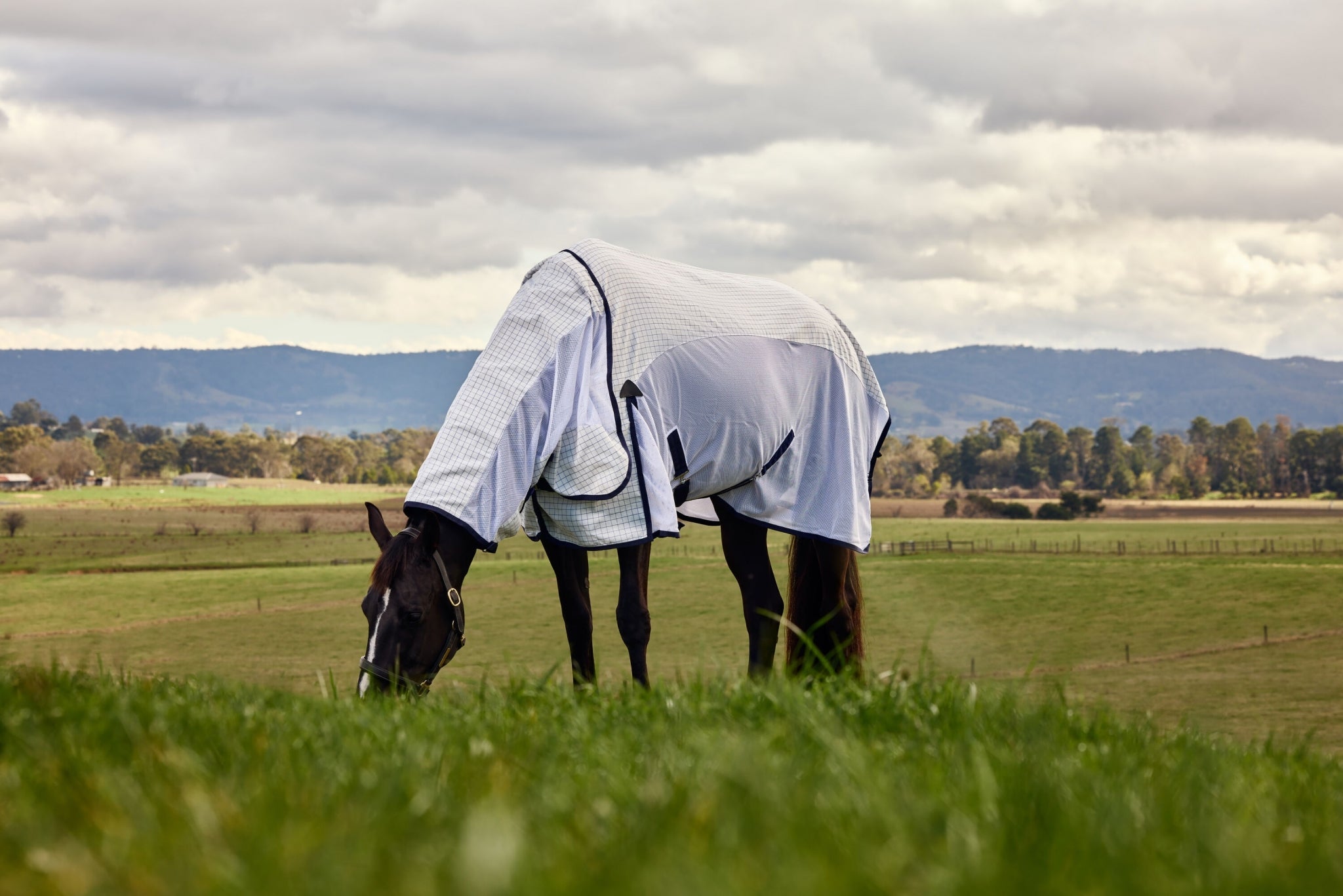 Weatherbeeta Airstream Detach-A-Neck Turnout Sheet