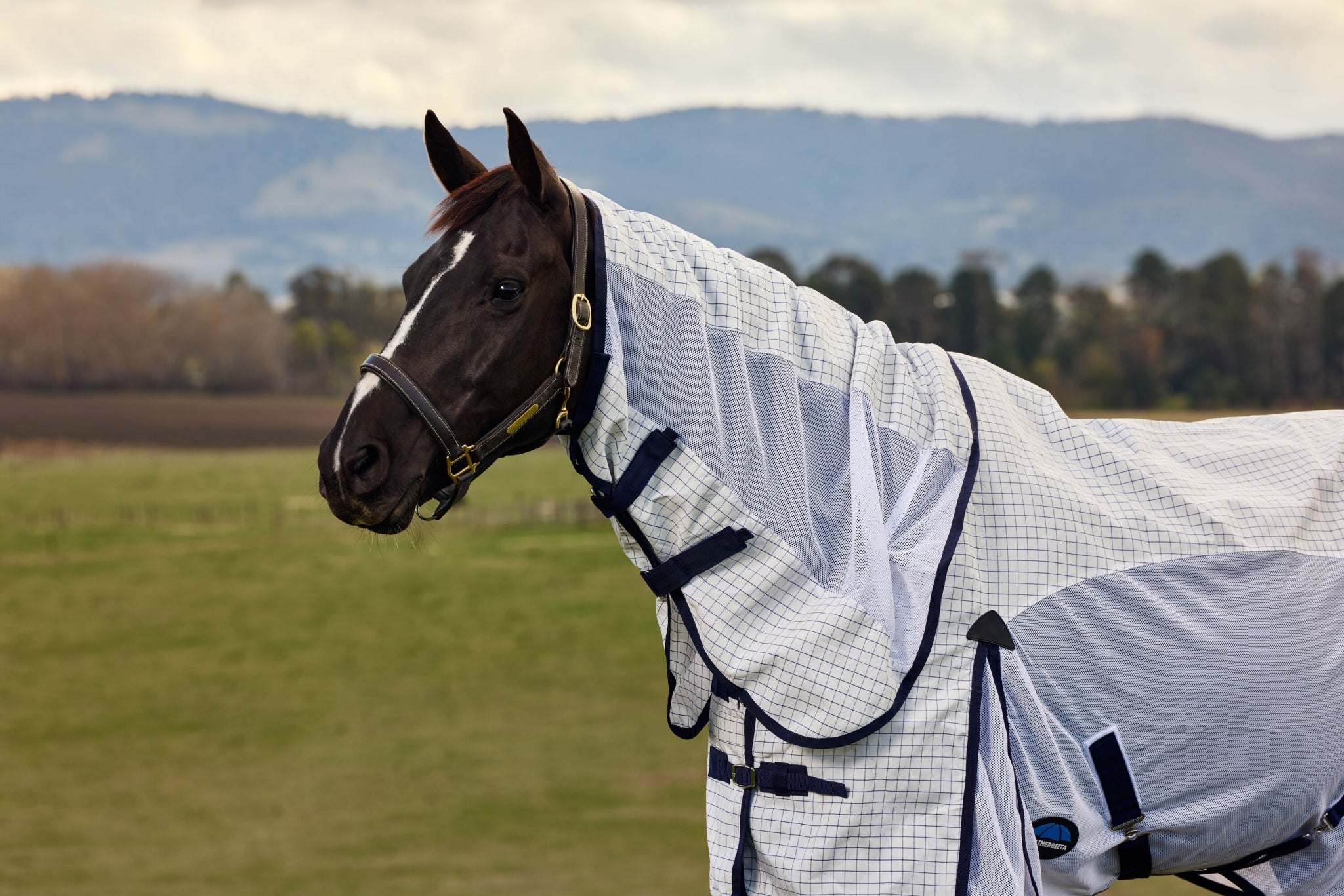 Weatherbeeta Airstream Detach-A-Neck Turnout Sheet
