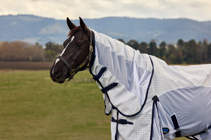 Weatherbeeta Airstream Detach-A-Neck Turnout Sheet