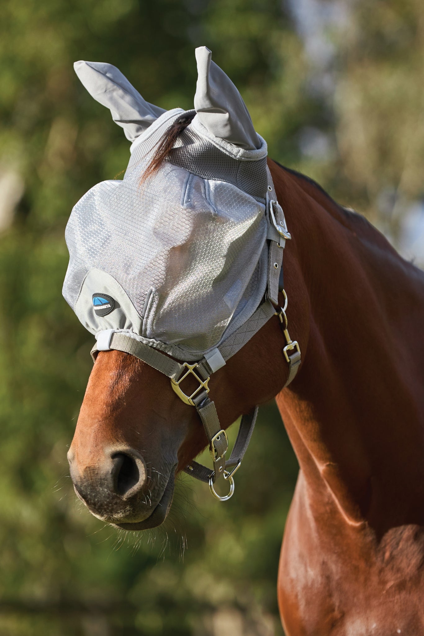 Weatherbeeta ComFiTec Hexi Shield Duo Fly Mask